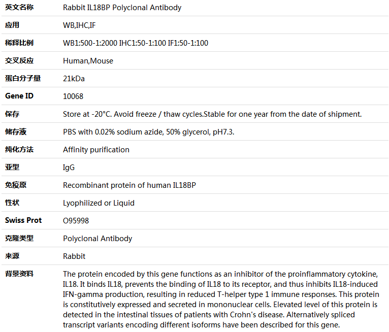 IL18BP Antibody,索莱宝,K004534P-100ul