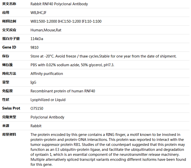 RNF40 Antibody,索莱宝,K004533P-100ul