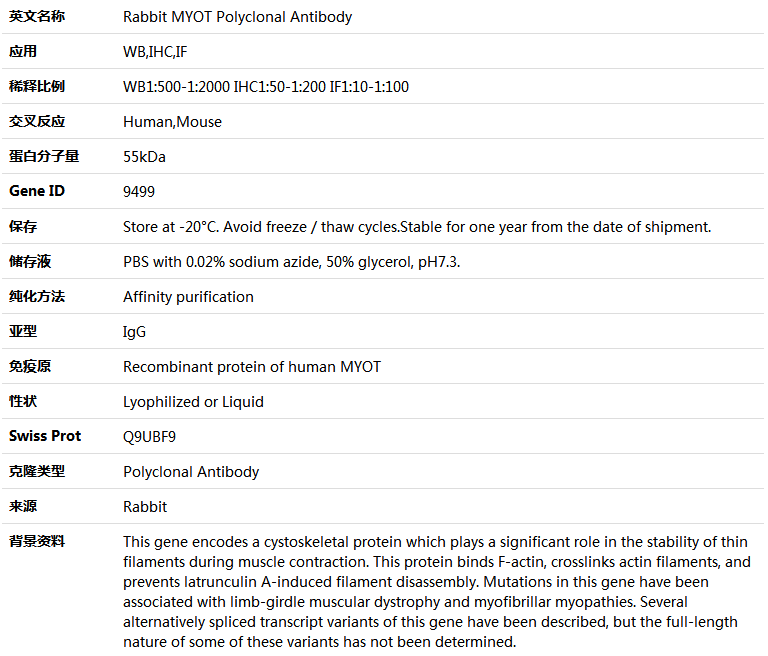 MYOT Antibody,索莱宝,K004529P-100ul