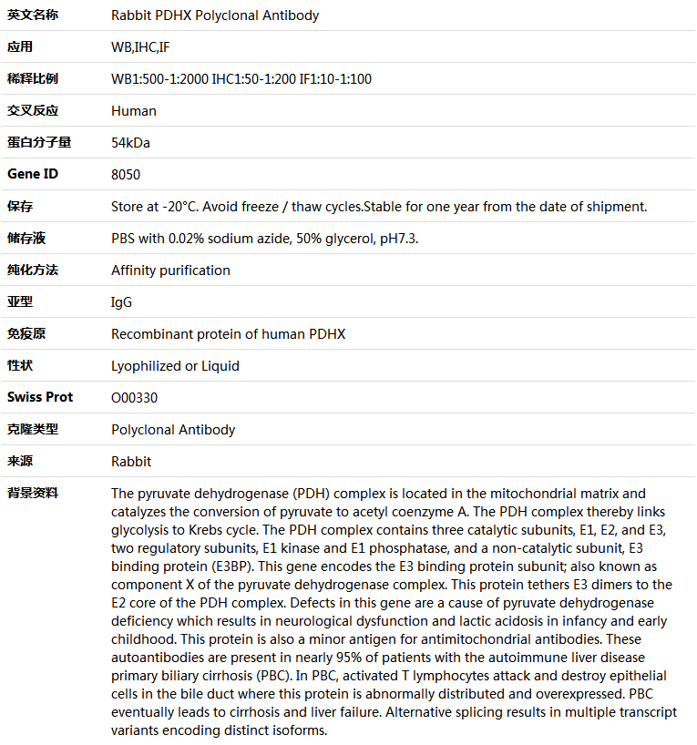 PDHX Antibody,索莱宝,K004518P-50ul