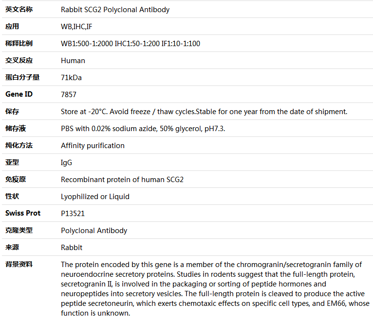 SCG2 Antibody,索莱宝,K004517P-100ul