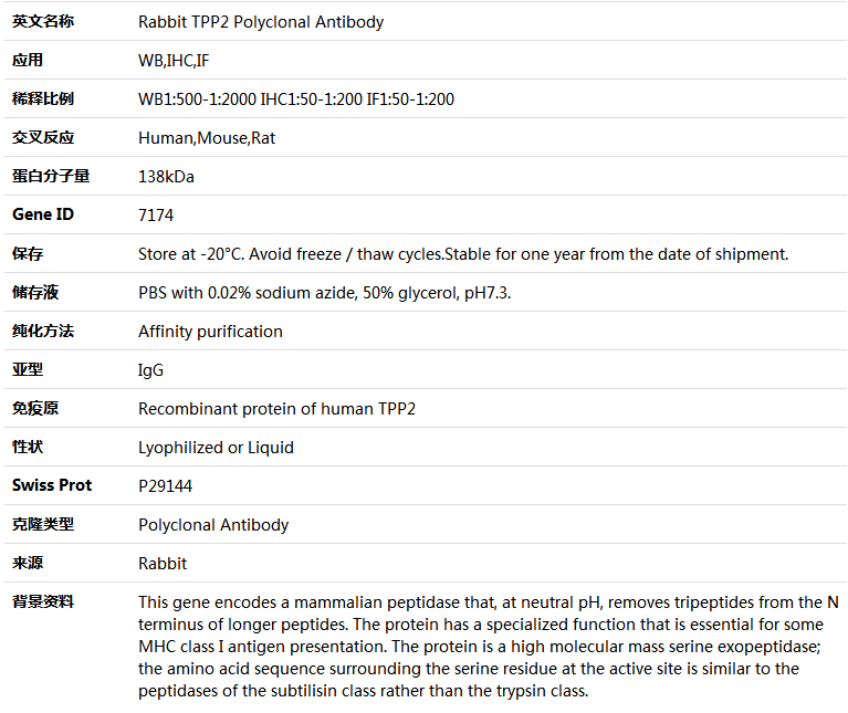 TPP2 Antibody,索莱宝,K004514P-100ul