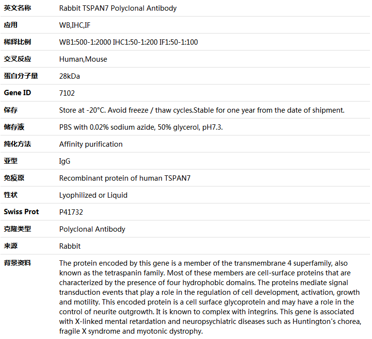 TSPAN7 Antibody,索莱宝,K004510P-30ul