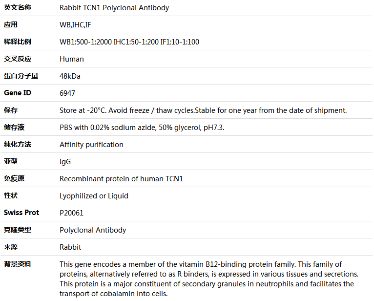TCN1 Antibody,索莱宝,K004507P-50ul