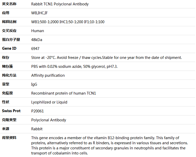 TCN1 Antibody,索莱宝,K004507P-100ul