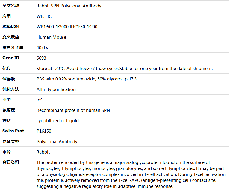 SPN Antibody,索莱宝,K004505P-100ul