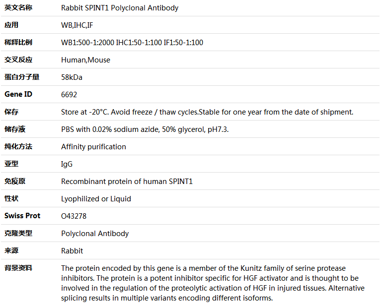SPINT1 Antibody,索莱宝,K004504P-100ul