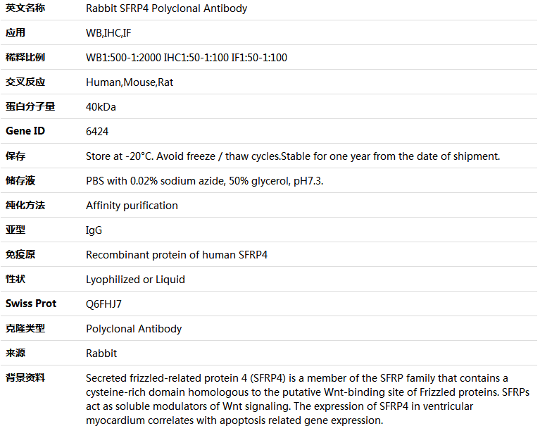 SFRP4 Antibody,索莱宝,K004502P-100ul