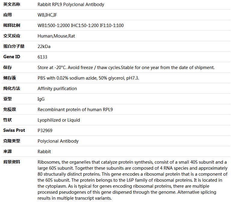 RPL9 Antibody,索莱宝,K004500P-100ul