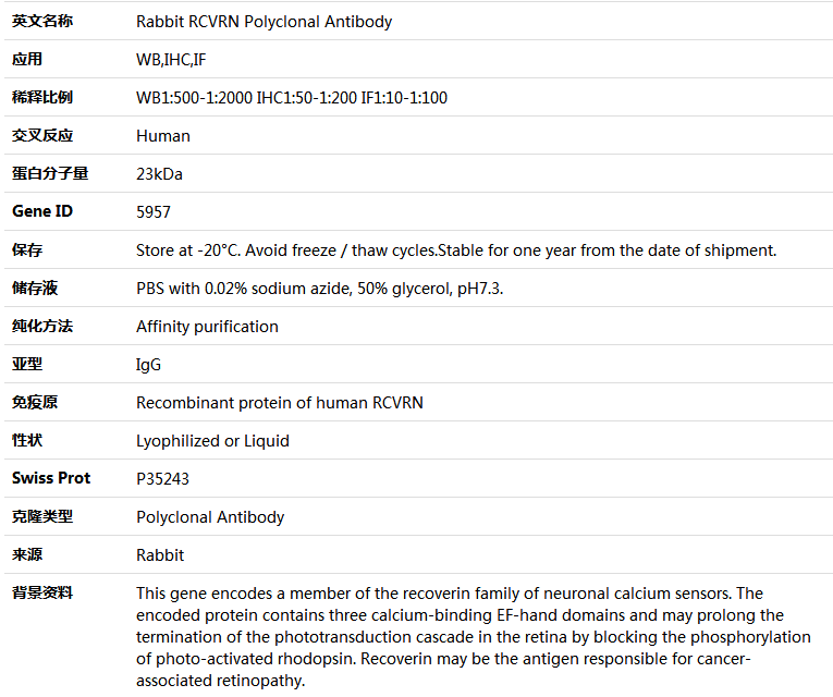 RCVRN Antibody,索莱宝,K004499P-50ul