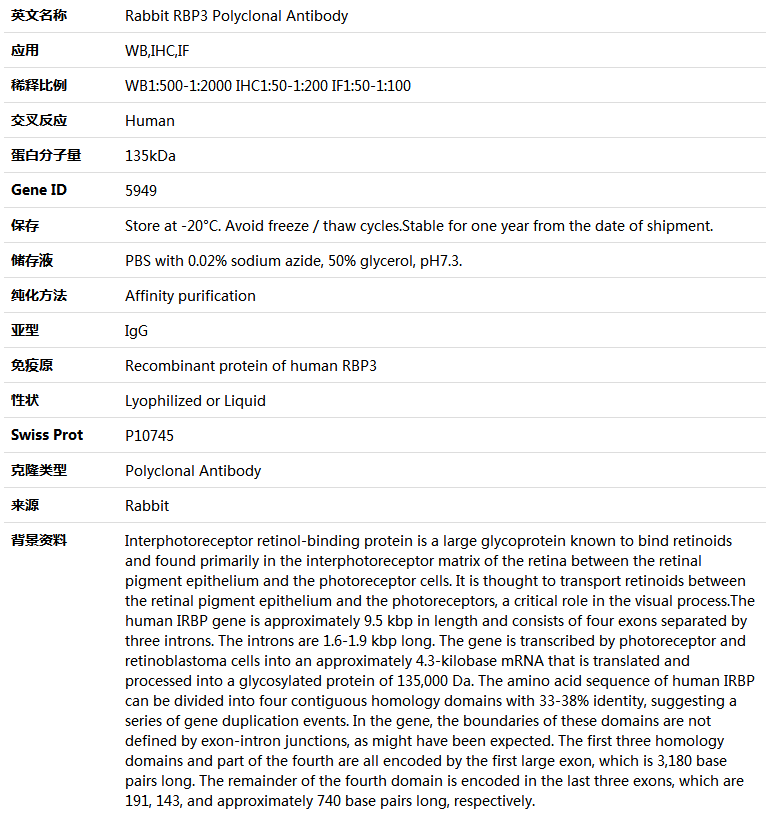 RBP3 Antibody,索莱宝,K004498P-50ul