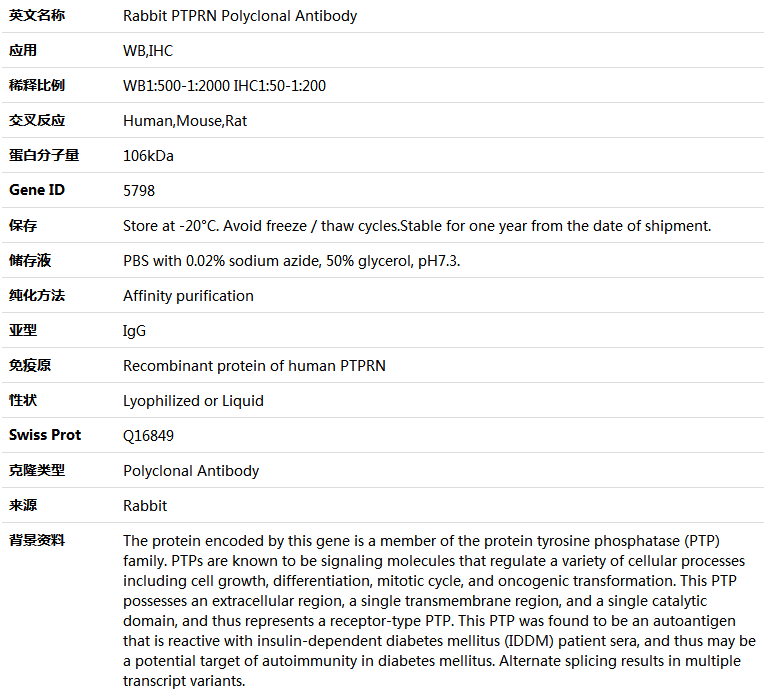PTPRN Antibody,索莱宝,K004496P-50ul