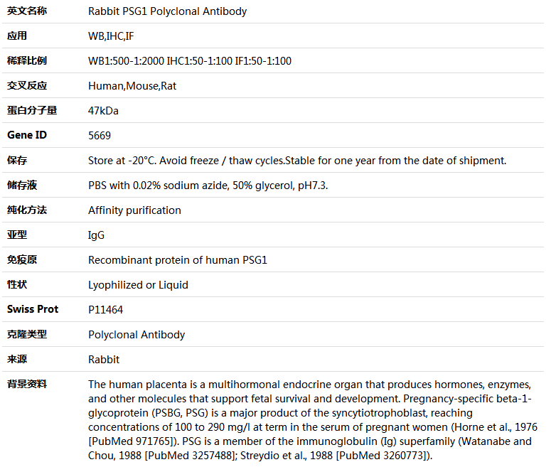 PSG1 Antibody,索莱宝,K004494P-100ul