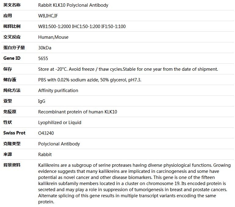 KLK10 Antibody,索莱宝,K004493P-50ul