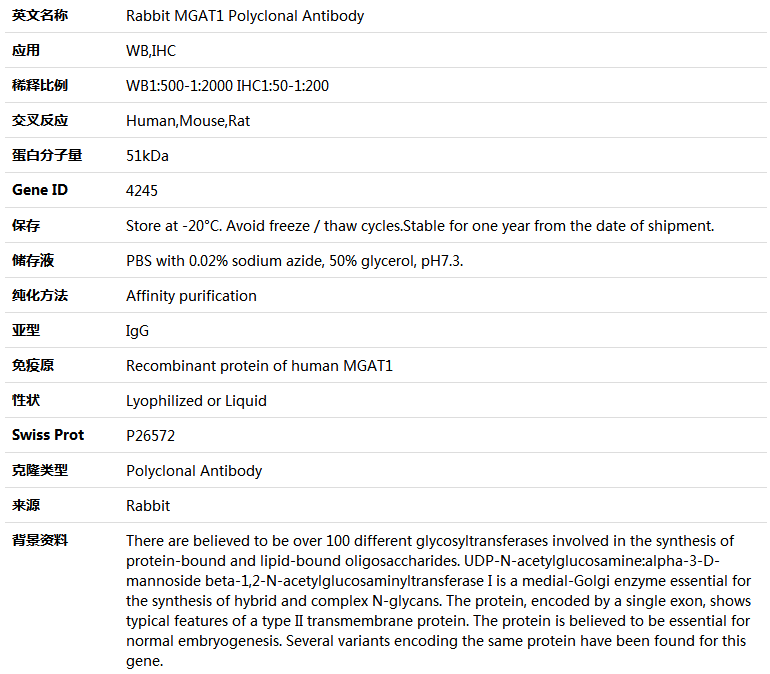 MGAT1 Antibody,索莱宝,K004482P-50ul