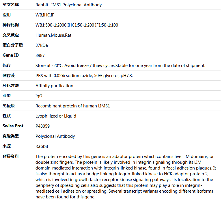 LIMS1 Antibody,索莱宝,K004480P-50ul