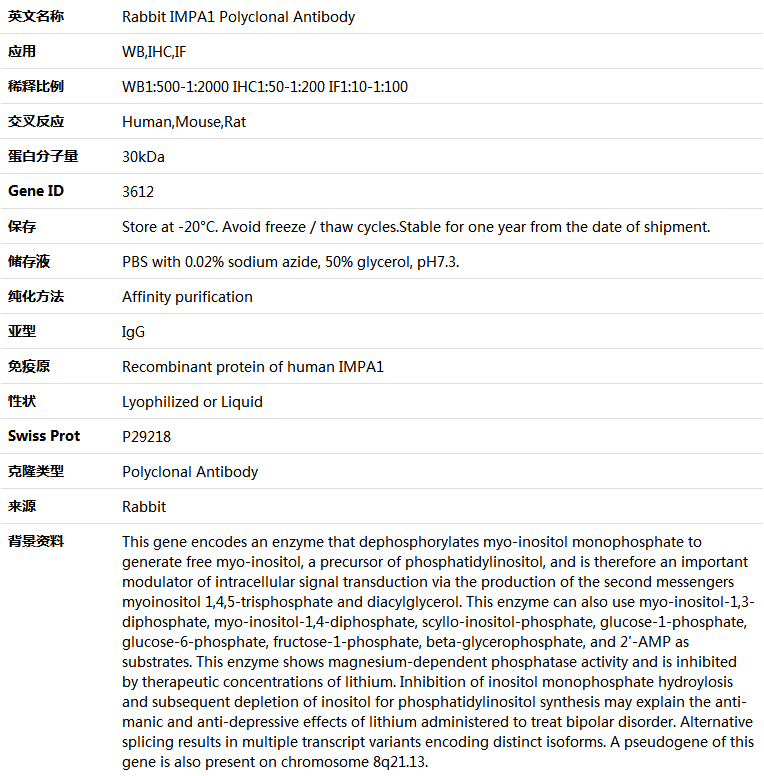 IMPA1 Antibody,索莱宝,K004477P-50ul