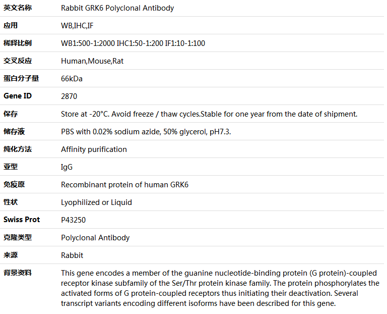 GRK6 Antibody,索莱宝,K004475P-100ul