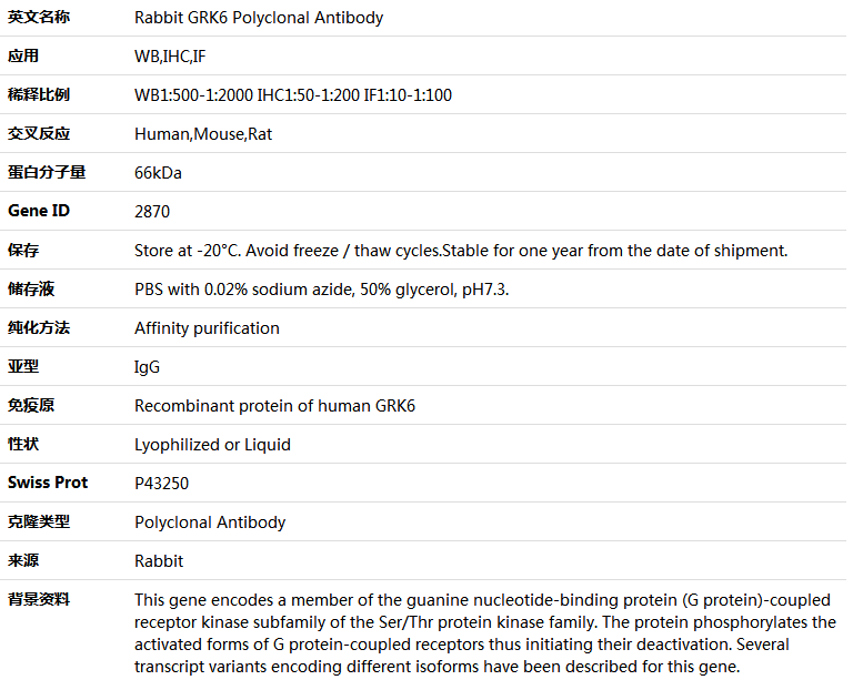 GRK6 Antibody,索莱宝,K004475P-50ul