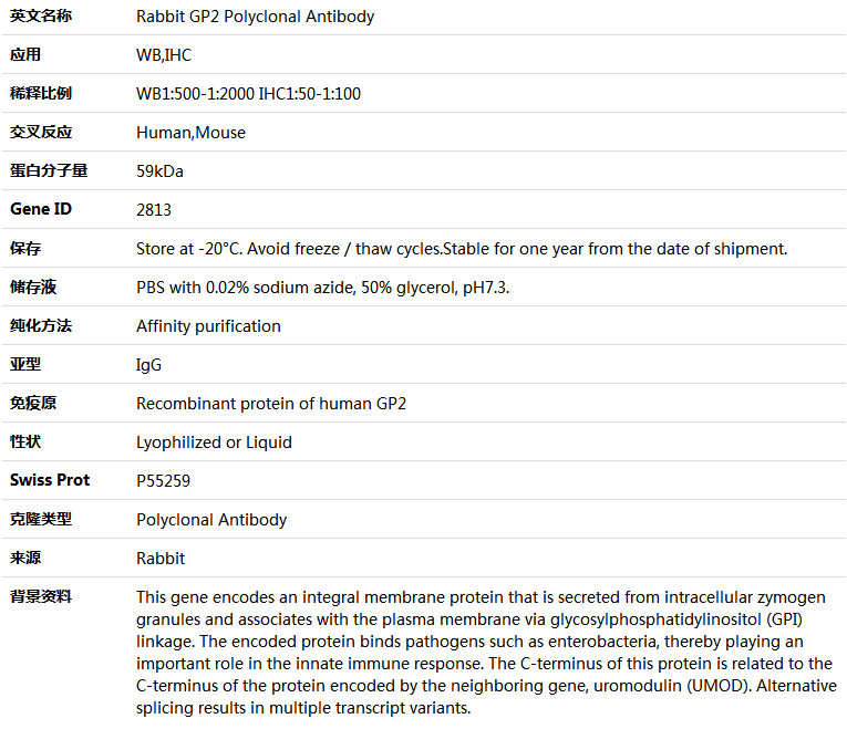 GP2 Antibody,索莱宝,K004474P-100ul