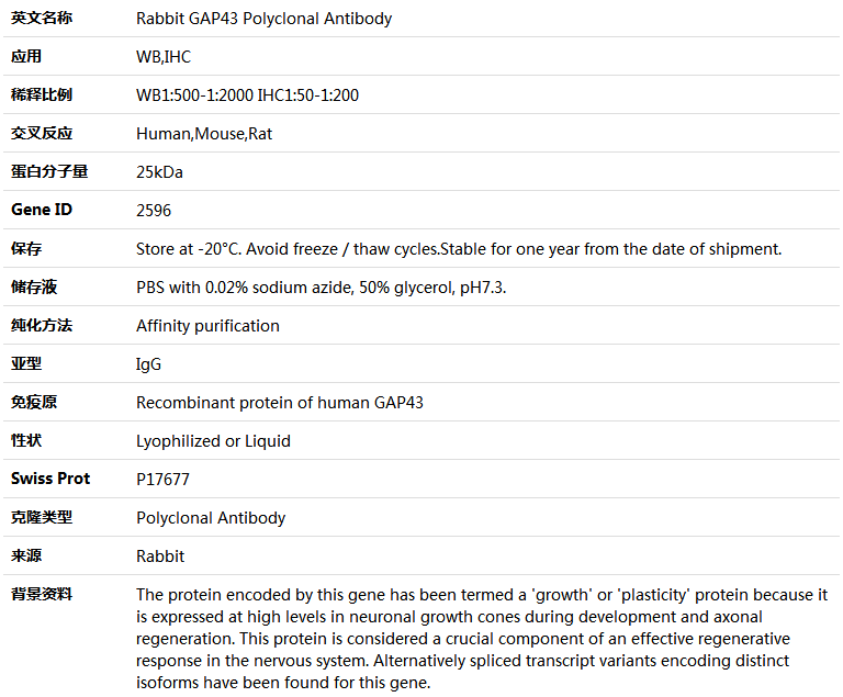 GAP43 Antibody,索莱宝,K004473P-50ul