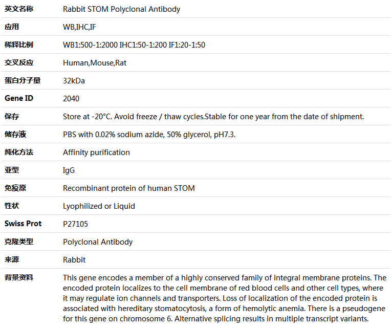 STOM Antibody,索莱宝,K004469P-100ul