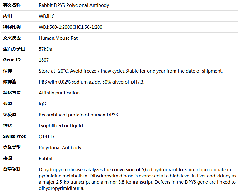 DPYS Antibody,索莱宝,K004465P-100ul