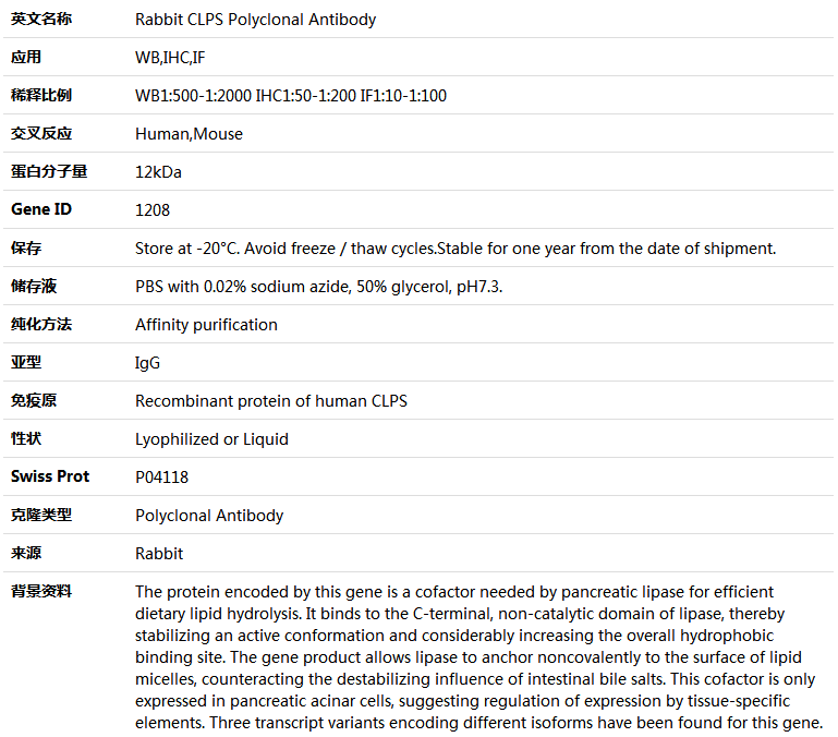 CLPS Antibody,索莱宝,K004462P-30ul