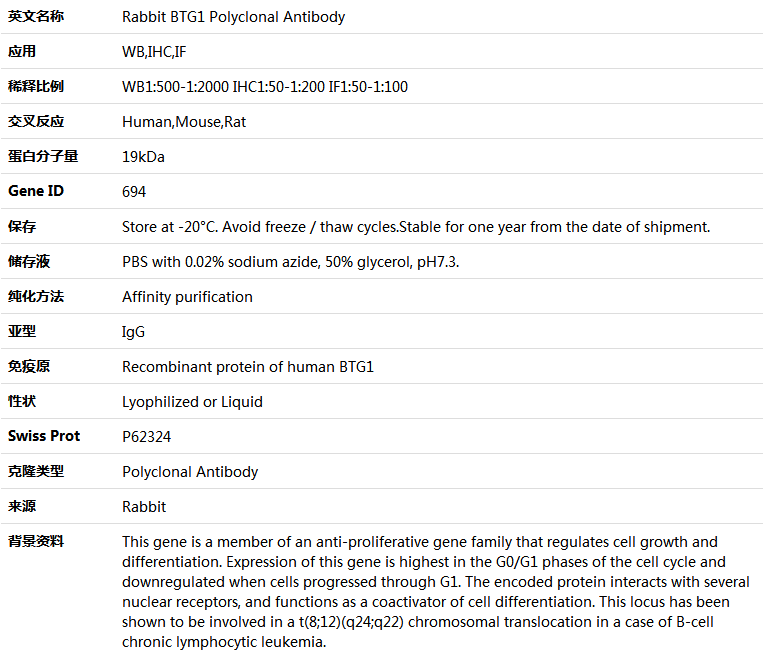 BTG1 Antibody,索莱宝,K004458P-50ul