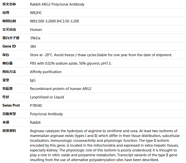 ARG2 Antibody,索莱宝,K004455P-100ul