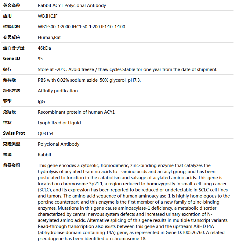 ACY1 Antibody,索莱宝,K004453P-100ul