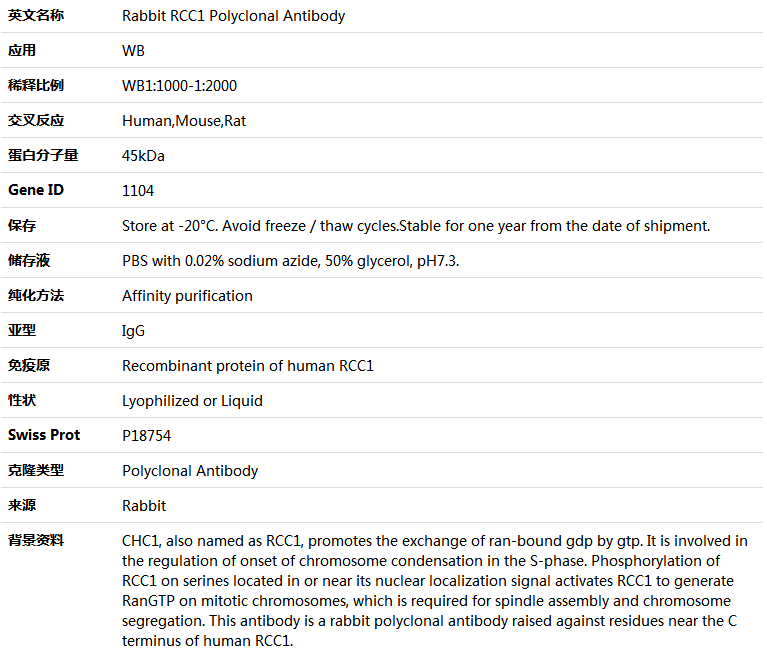 RCC1 Antibody,索莱宝,K004452P-50ul