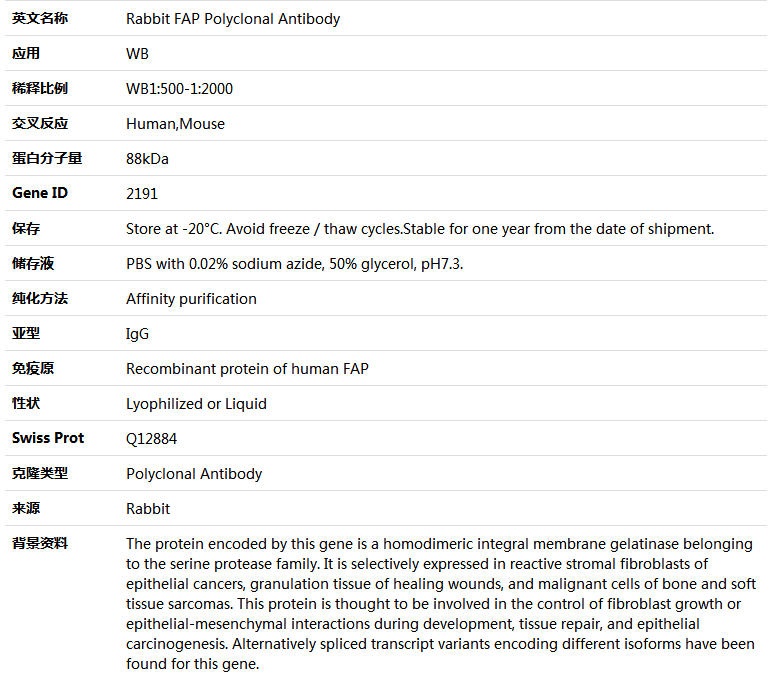 FAP Antibody,索莱宝,K004451P-30ul