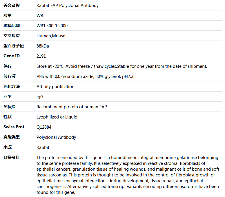 FAP Antibody,索莱宝,K004451P-50ul