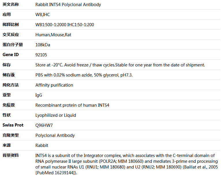 INTS4 Antibody,索莱宝,K004449P-50ul