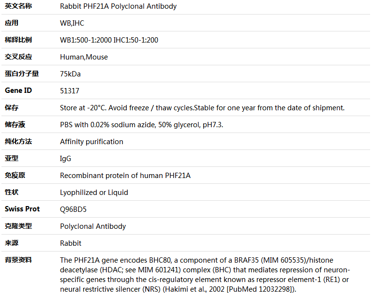 PHF21A Antibody,索莱宝,K004443P-50ul