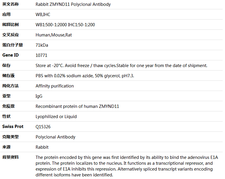 ZMYND11 Antibody,索莱宝,K004441P-50ul