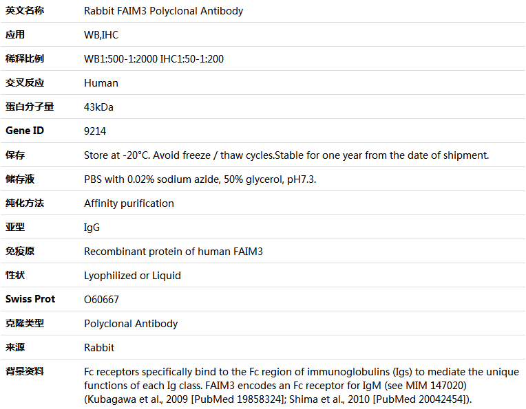 FAIM3 Antibody,索莱宝,K004437P-50ul