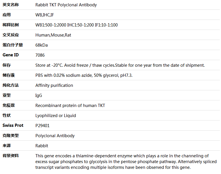 TKT Antibody,索莱宝,K004432P-100ul