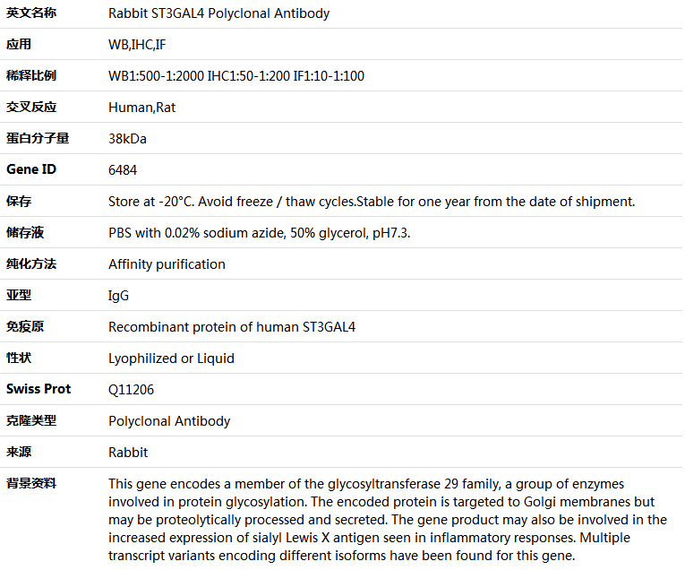 ST3GAL4 Antibody,索莱宝,K004427P-100ul