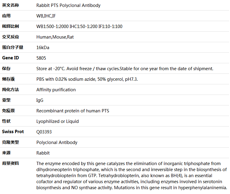 PTS Antibody,索莱宝,K004425P-50ul