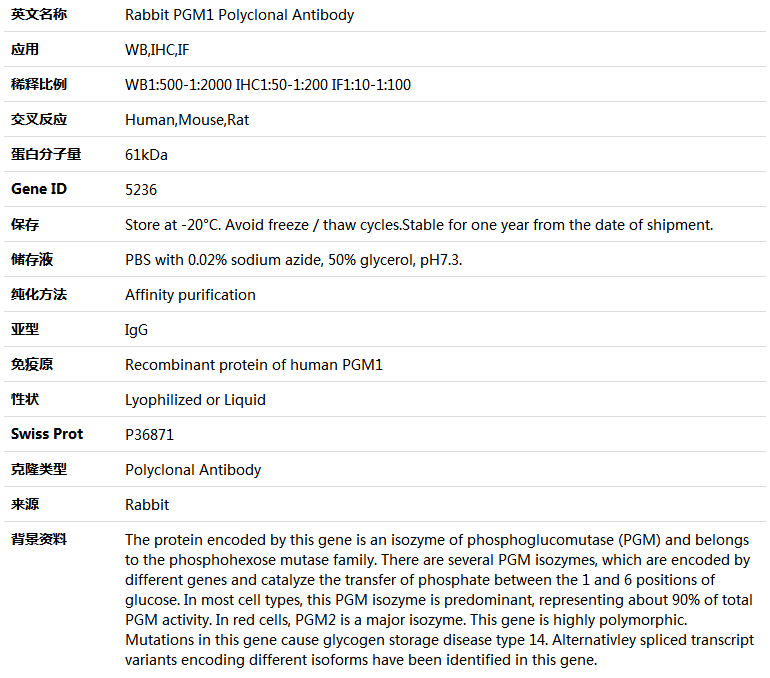 PGM1 Antibody,索莱宝,K004422P-100ul