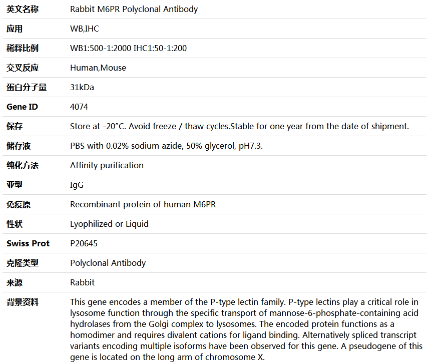 M6PR Antibody,索莱宝,K004415P-100ul