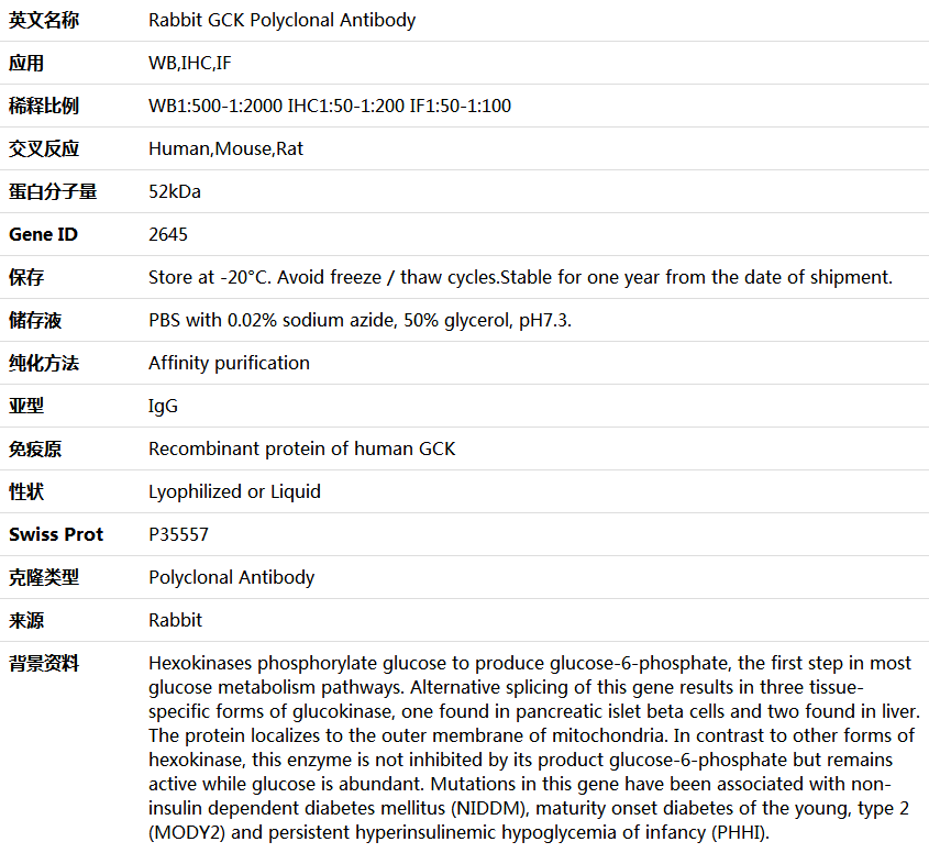 GCK Antibody,索莱宝,K004412P-50ul