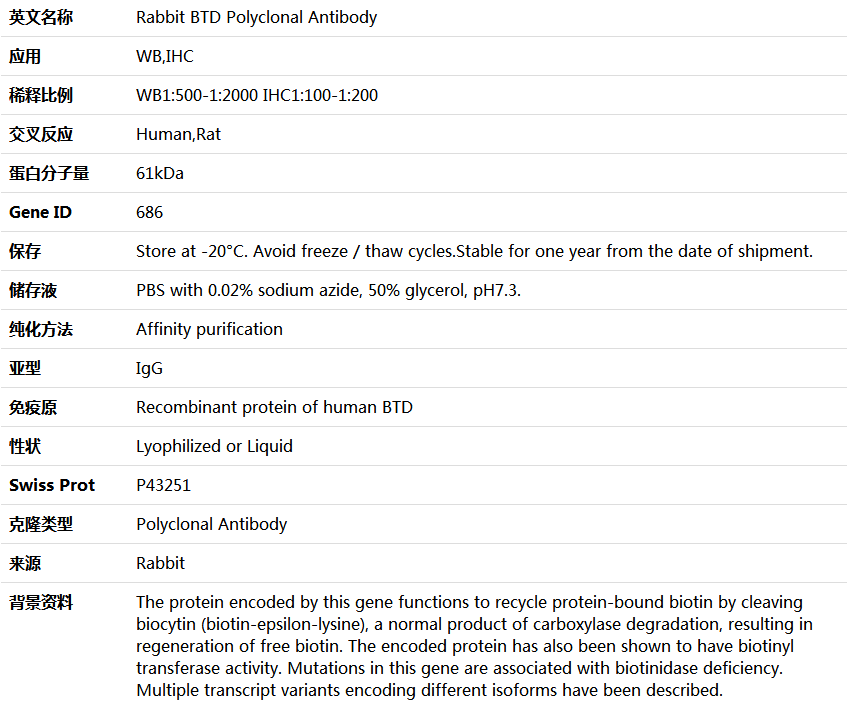 BTD Antibody,索莱宝,K004408P-50ul