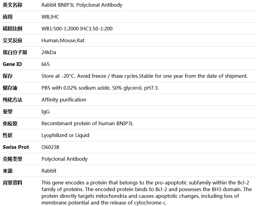 BNIP3L Antibody,索莱宝,K004407P-30ul