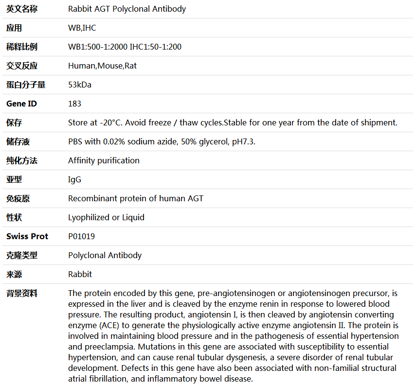 AGT Antibody,索莱宝,K004404P-50ul