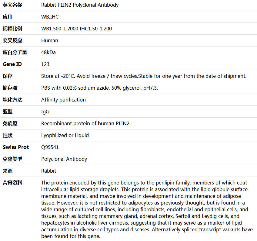 PLIN2 Antibody,索莱宝,K004402P-100ul