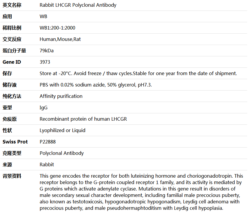 LHCGR Antibody,索莱宝,K004399P-100ul