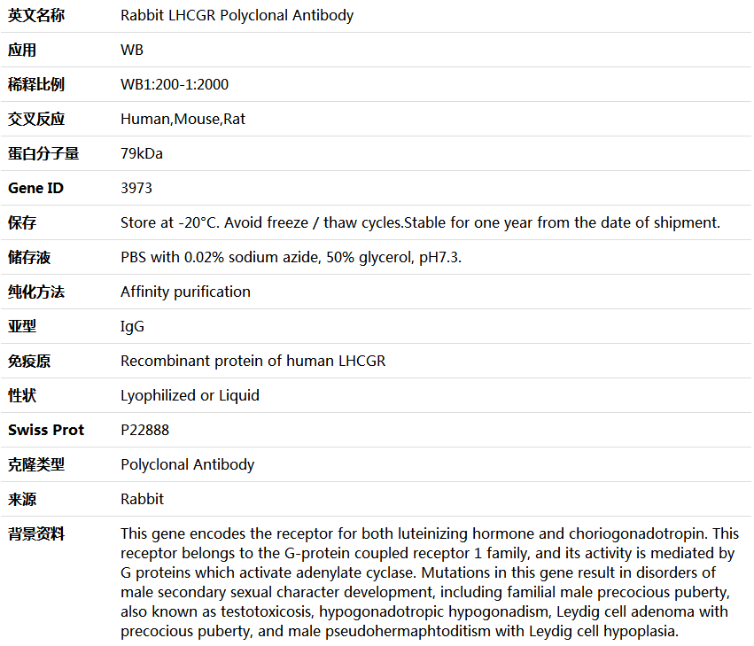 LHCGR Antibody,索莱宝,K004399P-50ul